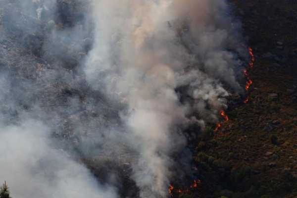 Северо-западные районы Испании охватили природные пожары