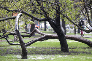   Метеорологи рассказали о дождливом конце недели в Москве 