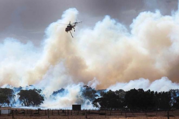 Травяные пожары в Австралии уничтожили несколько зданий и автомобилей